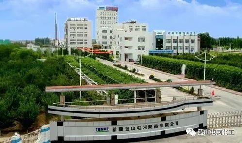 聚酯公司榮膺自治區(qū)綠色工廠稱號(hào) 以技術(shù)引領(lǐng)，鑄就綠色可持續(xù)發(fā)展新標(biāo)桿